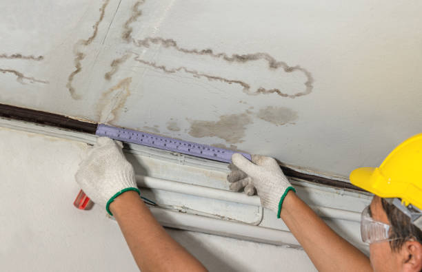 Affordable Ceiling Water Damage Repair solutions in Youngsville, LA